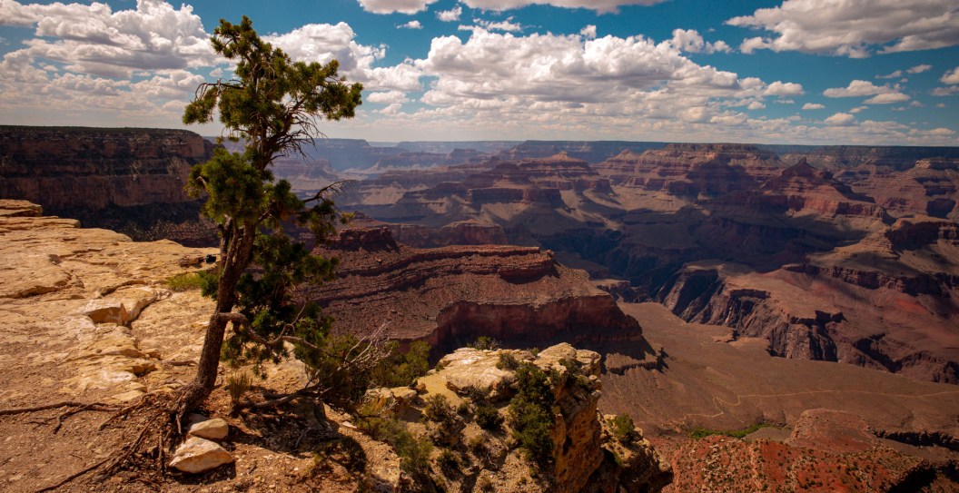 Sixth Person Dies At The Grand Canyon In Less Than A Month