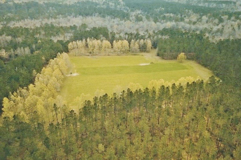trison farms