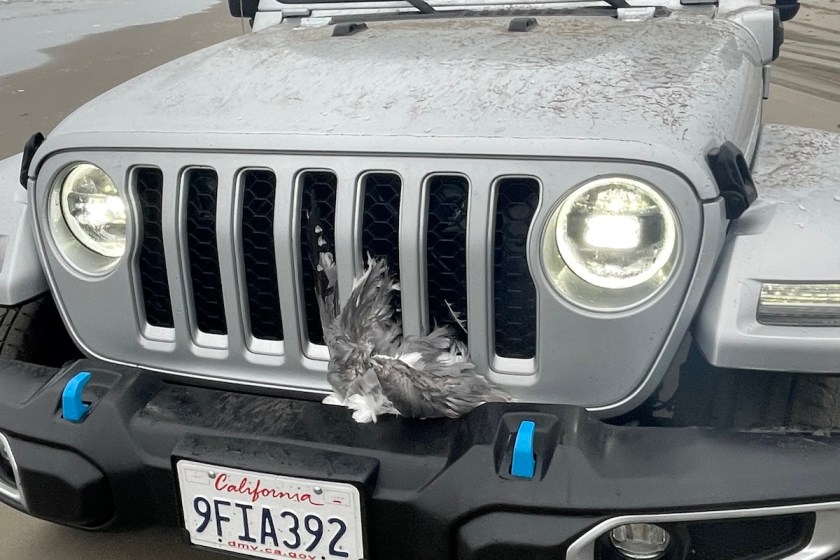 jeep