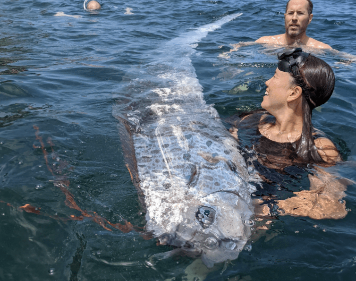 rare fish California