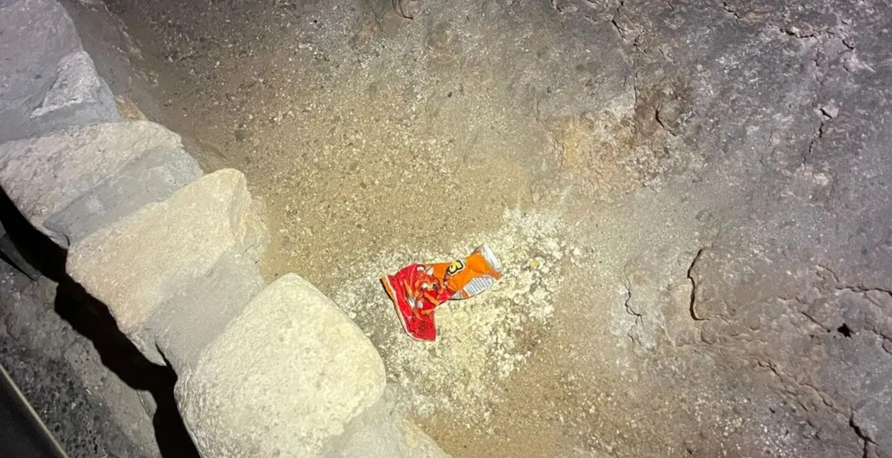 A Left Behind Bag Of Cheetos Had A Huge Impact On National Park's Ecosystem