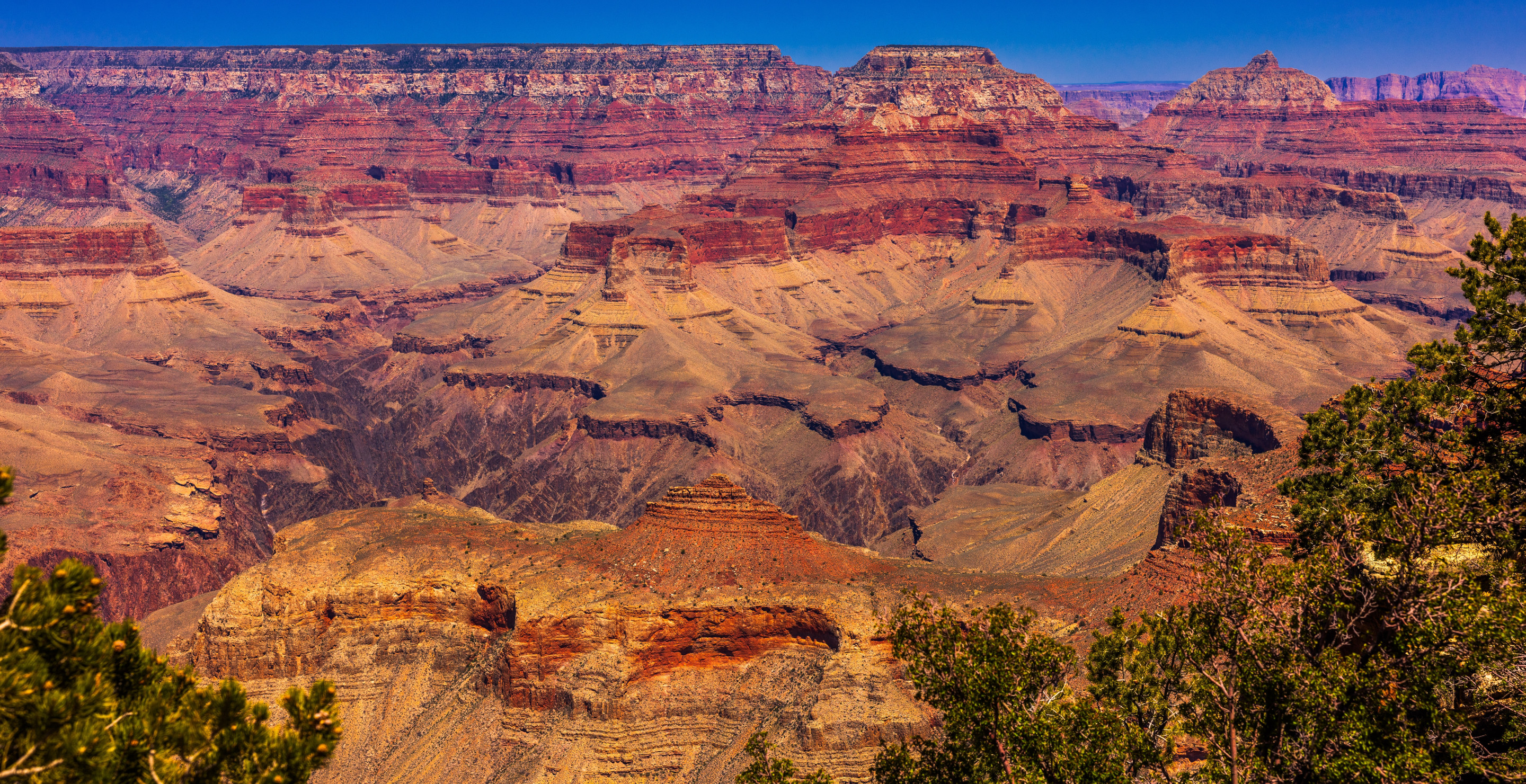 Grand Canyon Is Having One Of Its Deadliest Periods In Years With String Of Deaths
