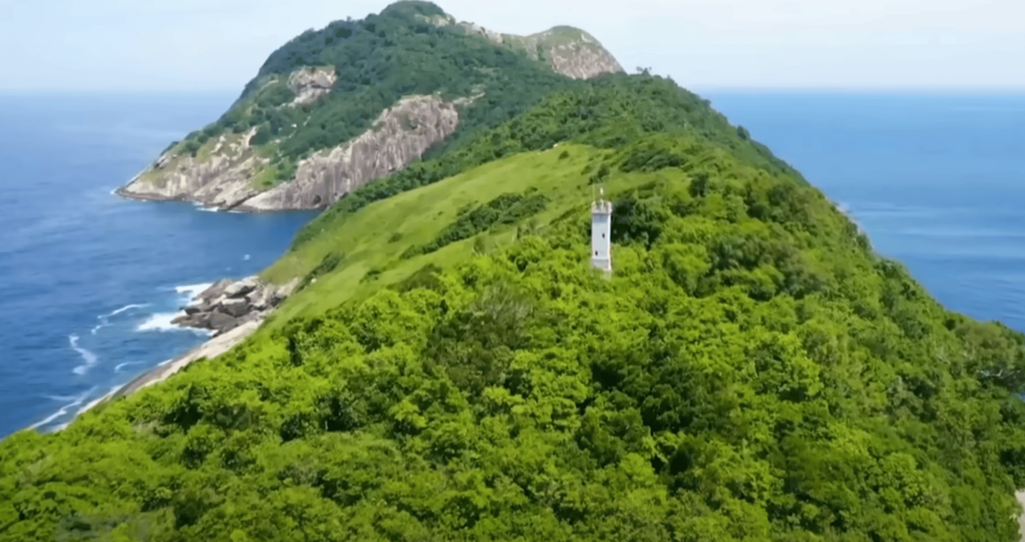 Turns Out, There's An Island Filled With Snakes And Giant Cockroaches ...