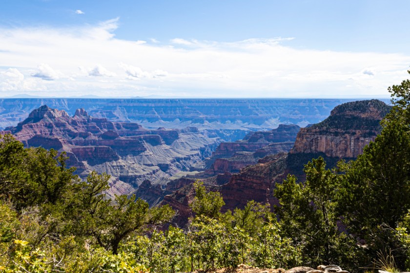 Texas-Hiker-Reflects-On-Terrifying-Moment-Grand-Canyon-Trail-Started-Flooding