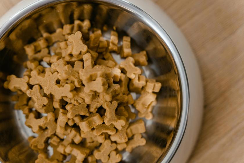 watch portion size for picky dogs