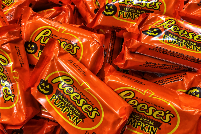 Danger of Halloween candy for dogs