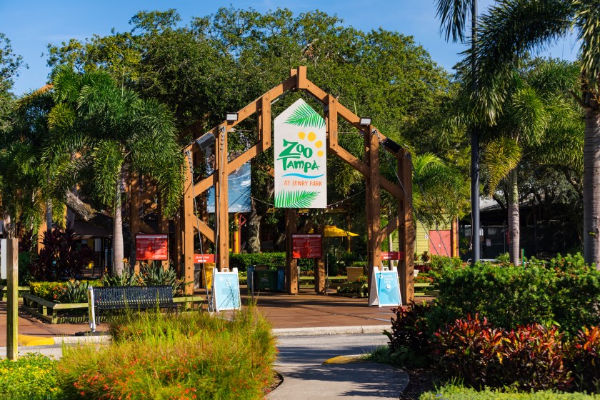 Tampa Zoo protecting hundreds of animals during Hurricane Milton