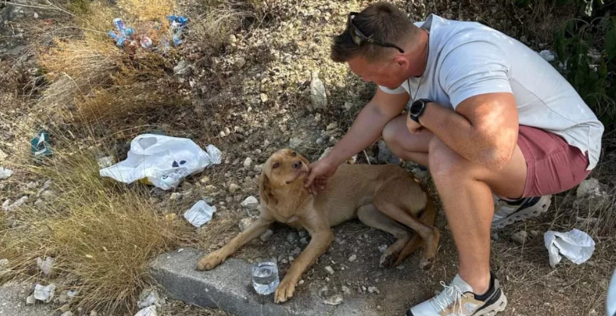 Veteran Saves Stray Dog From Side Of The Highway While On Trip To