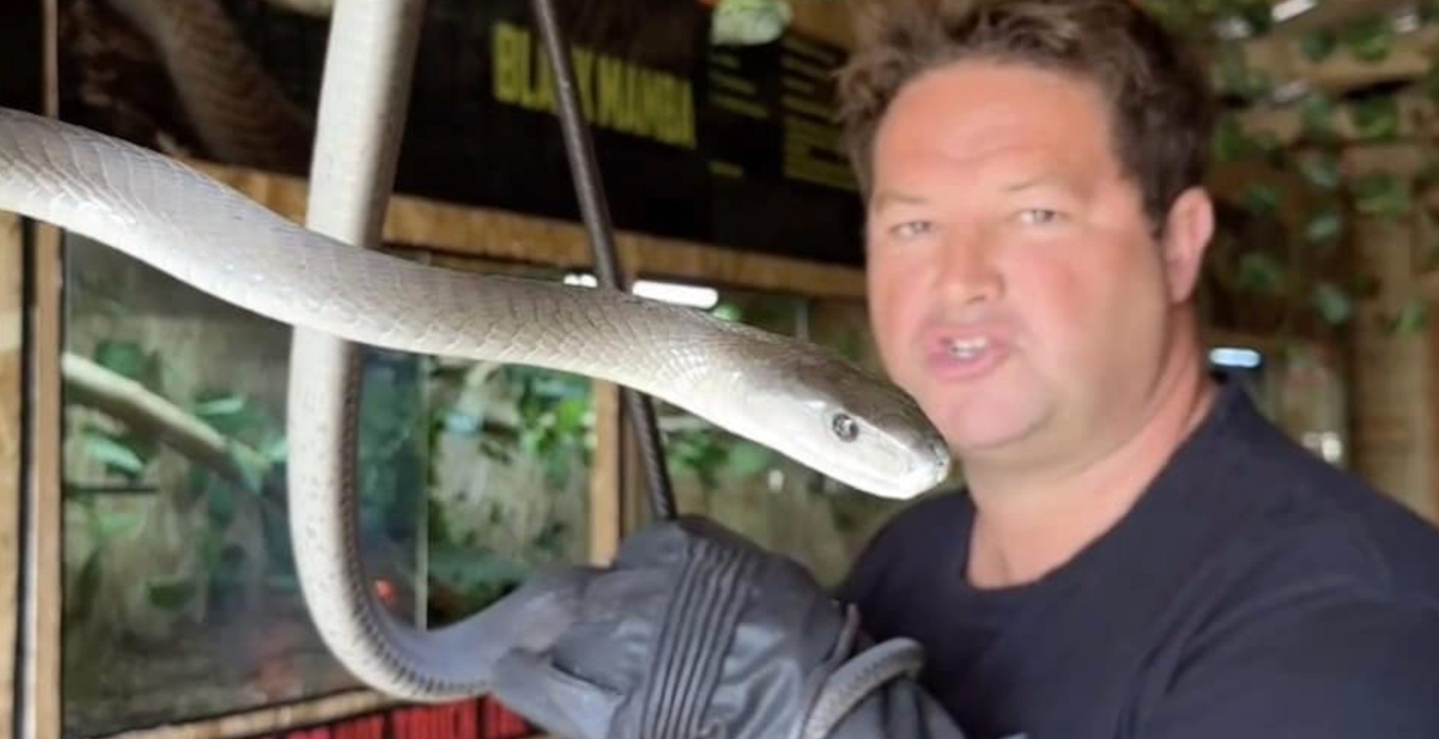 YouTuber Graham Dingo Dinkelman, South Africa’s Steve Irwin, Dies After Snake Bite Wide Open