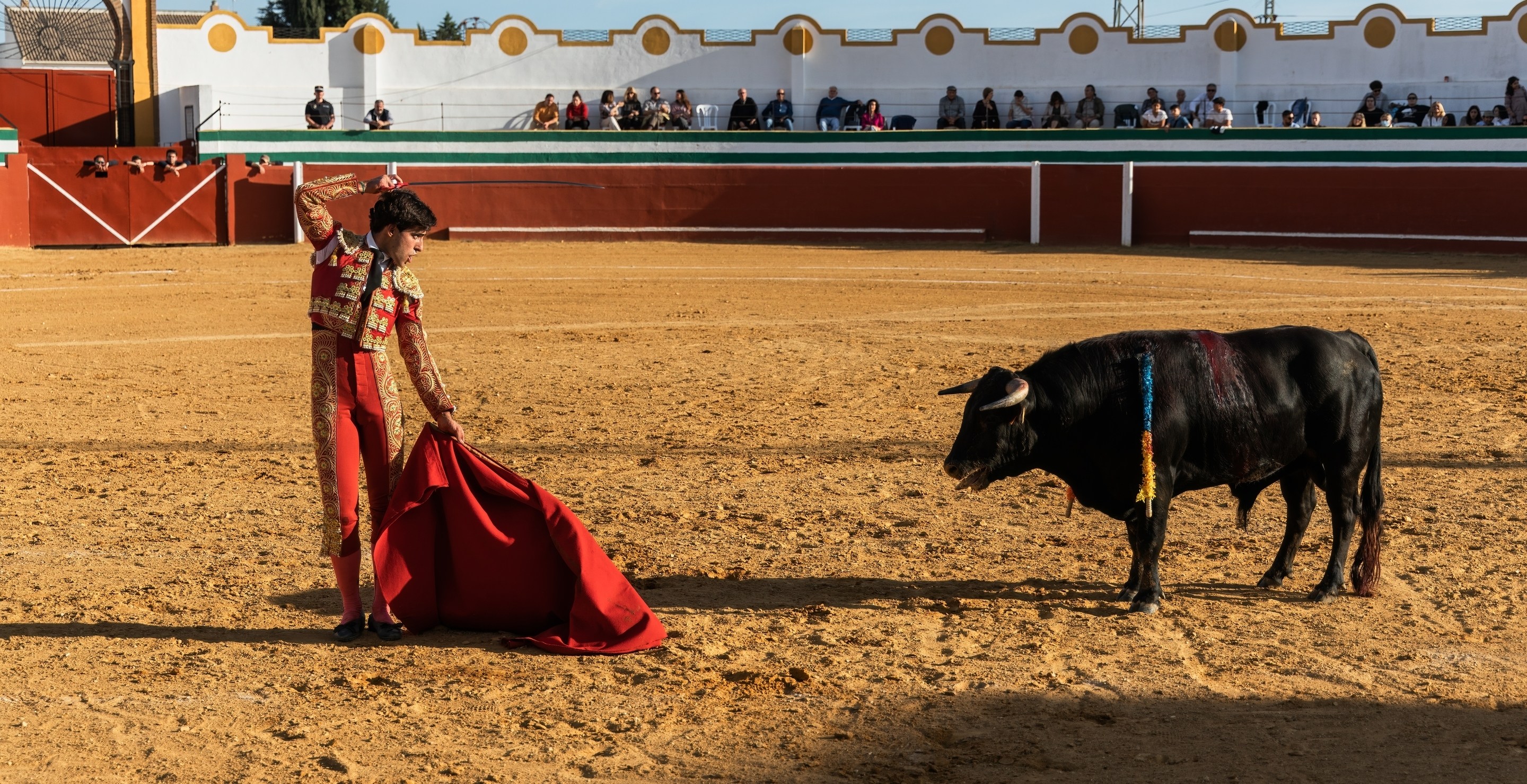Madad R Matador And Bull