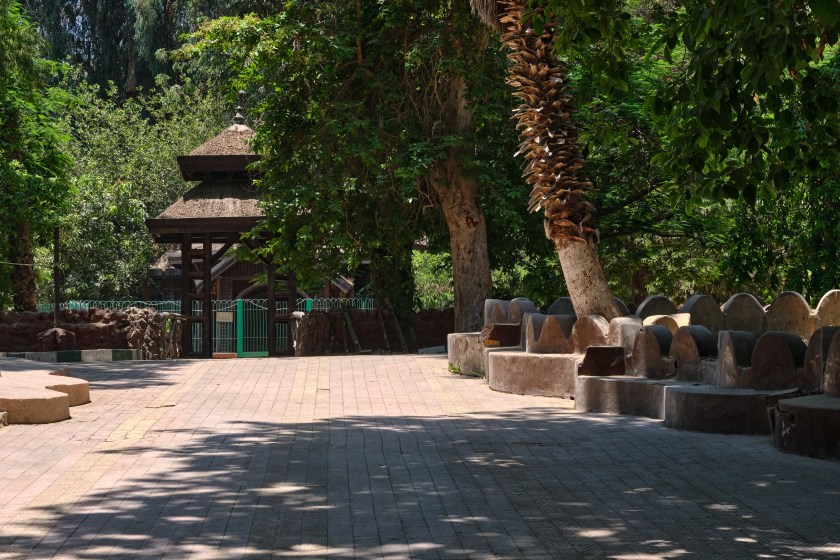 Zoo Moo Deng Controversy