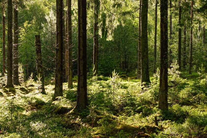 rules of 3 to surviving the wilderness