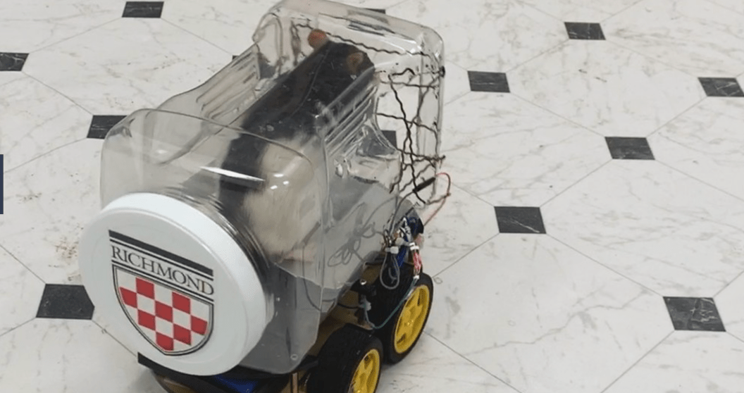 University of Richmond teaches rats to drive