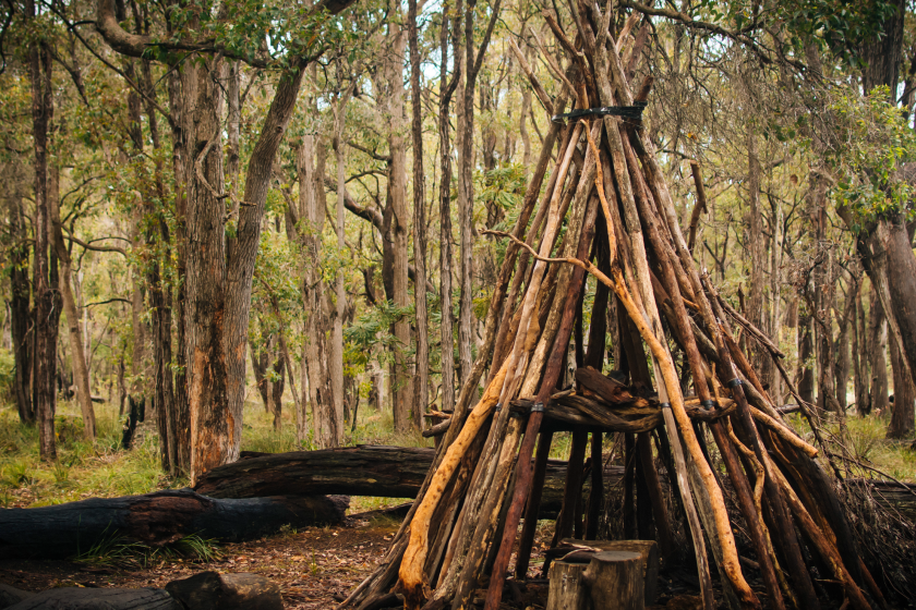build a successful shelter with these tips
