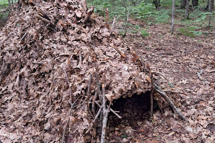 debris hut