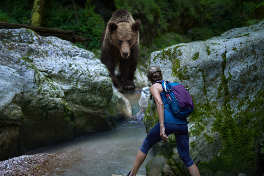 hiker killed in staged bear attack