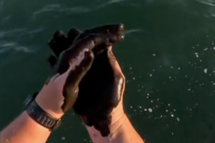 man rubs squid ink all over himself