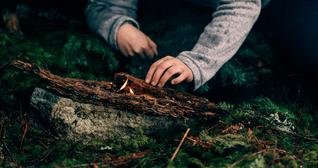 surviving the wilderness