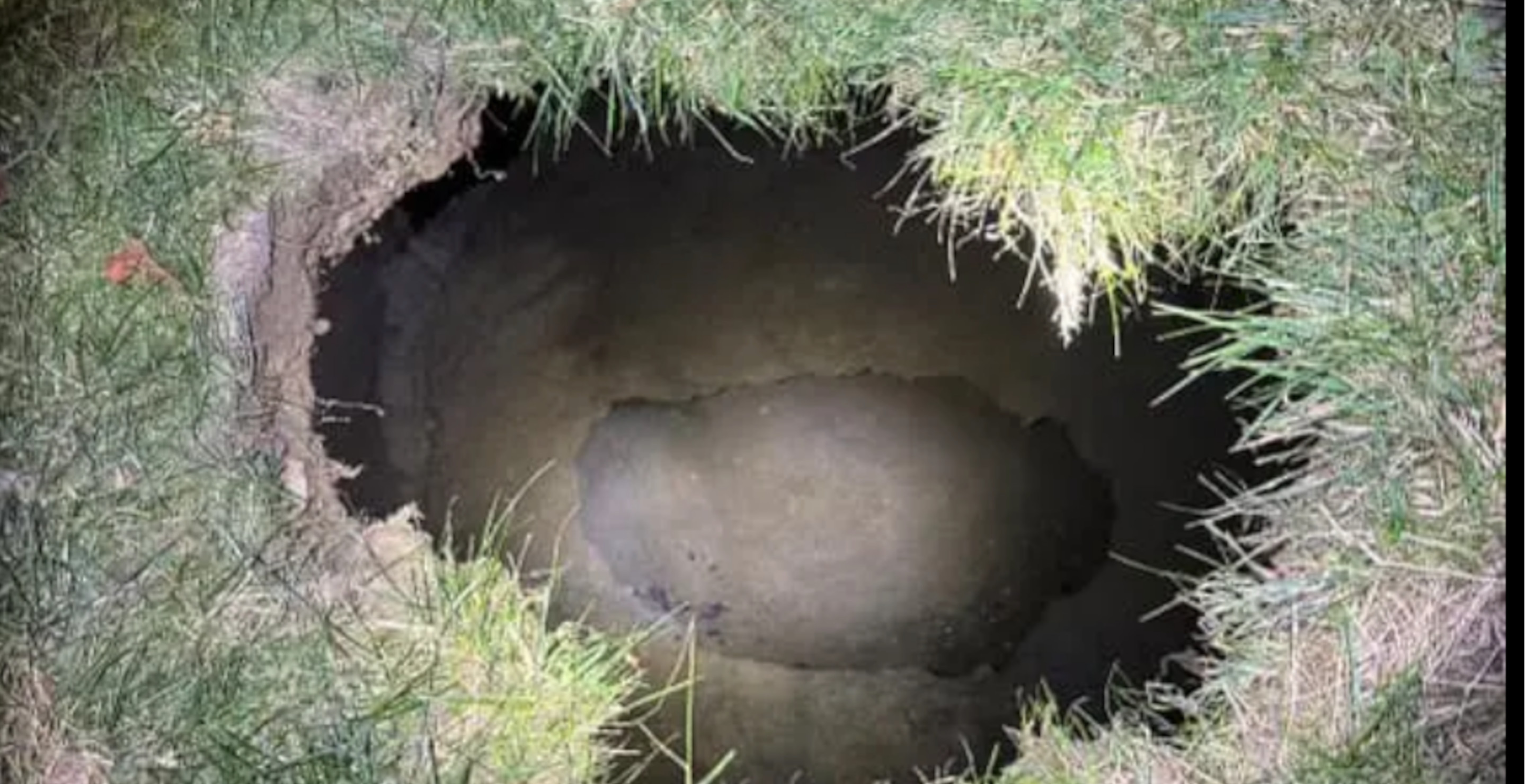 64-Year-Old Grandmother May Have Fell Down 30-Foot Sinkhole While Looking For Cat