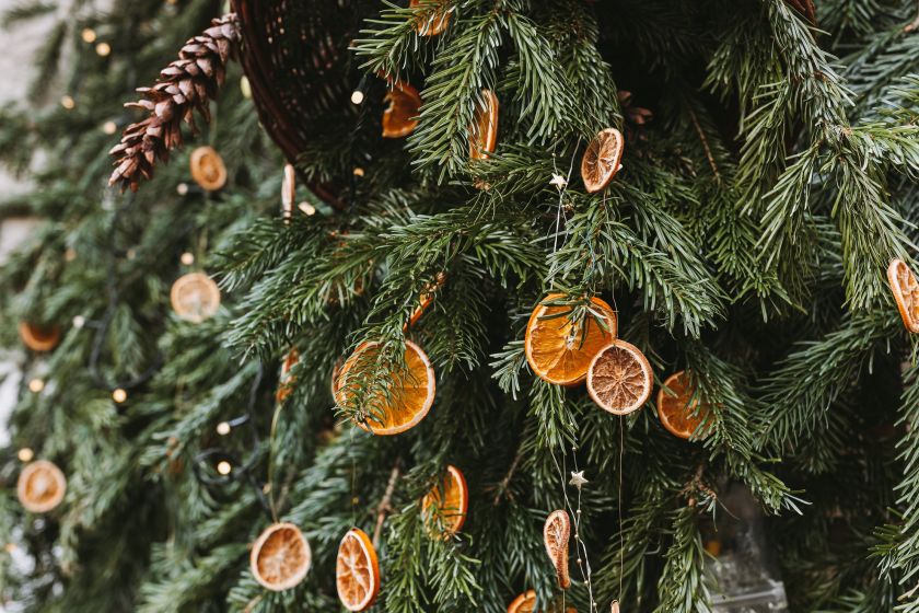 Christmas decorations that are wildlife friendly