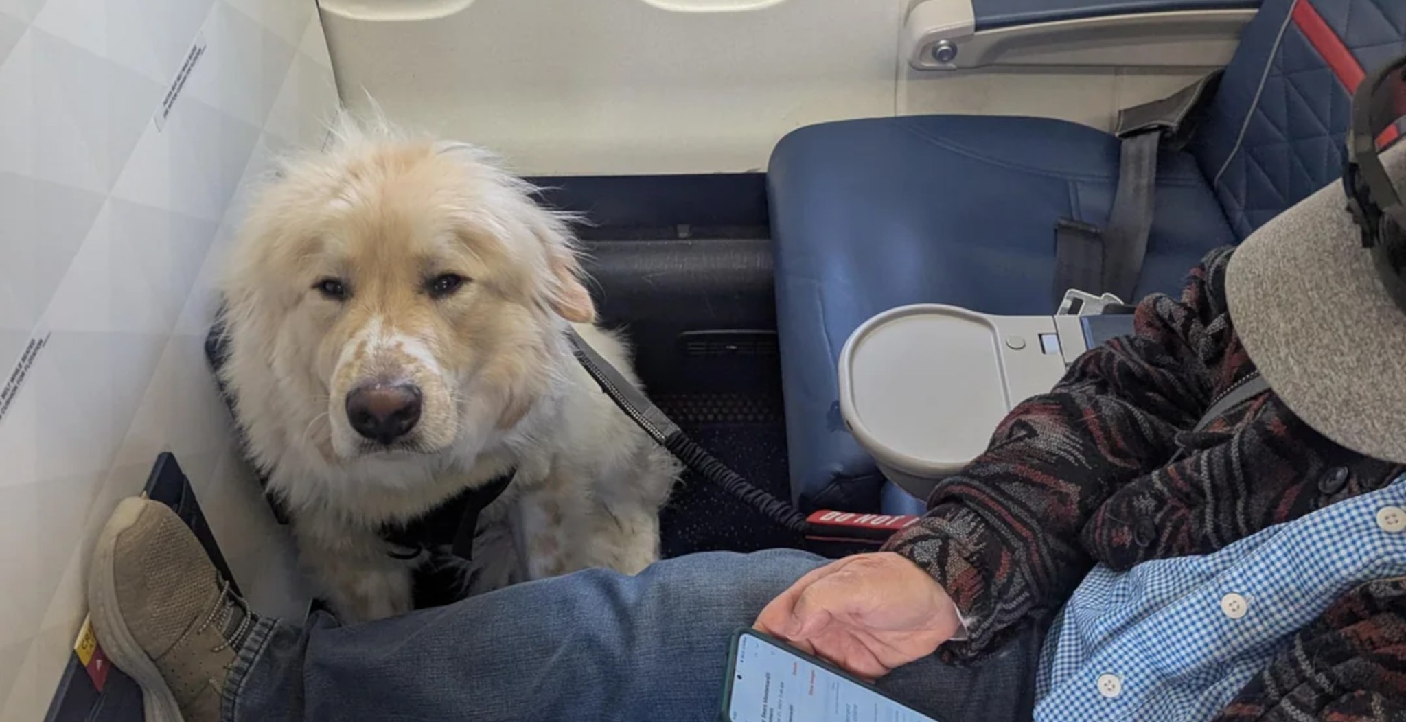 Livid Delta Passenger Angry After Being Forced To Give Up First Class ...