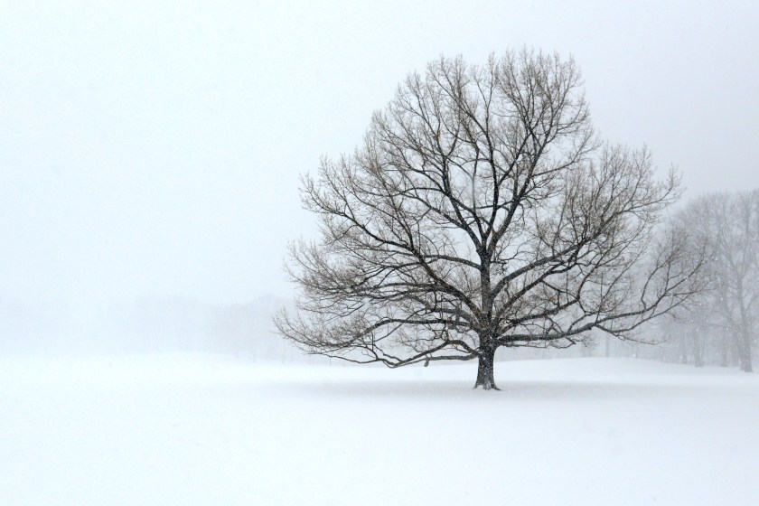 Polar vortex brings coldest month in decades