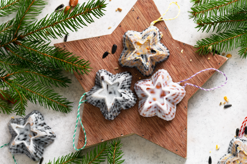 birdseed ornaments