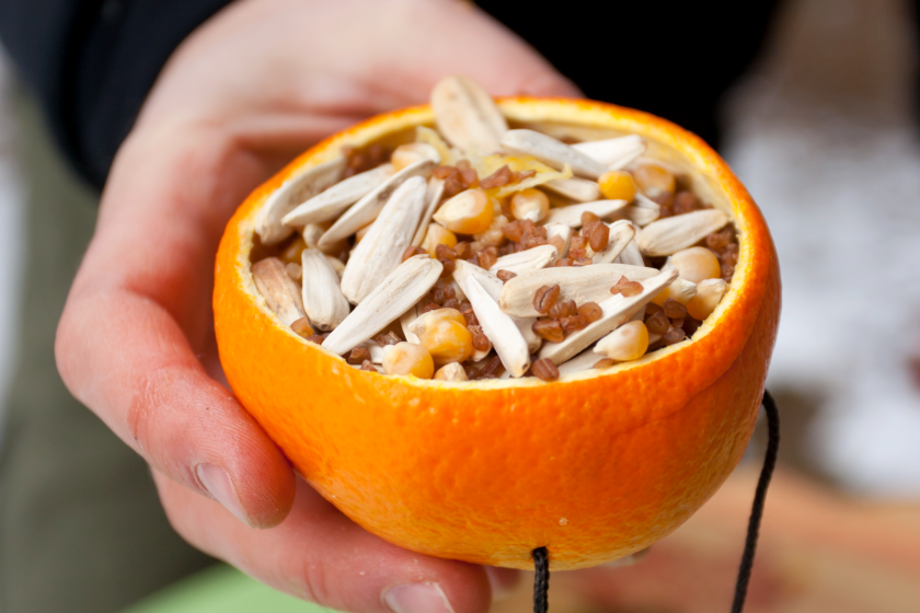 make a wildlife friendly tree with fruit bird feeders