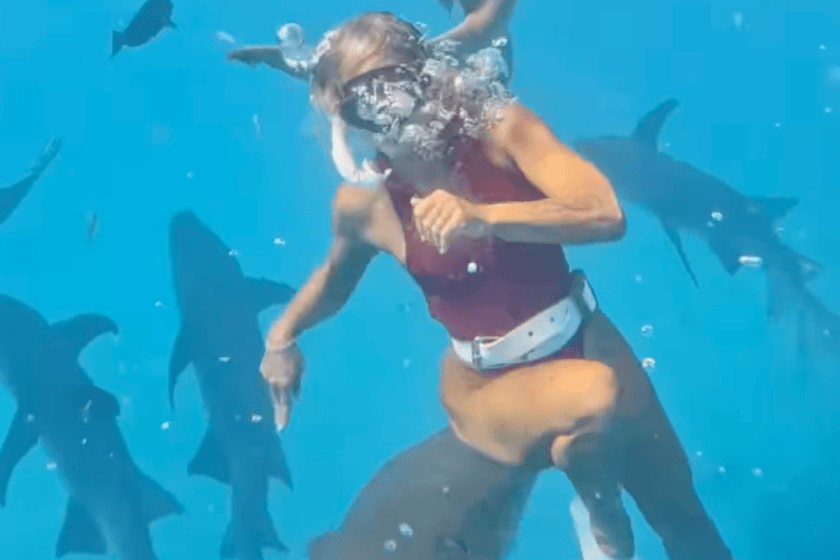 woman gets bitten by a shark but is not mad
