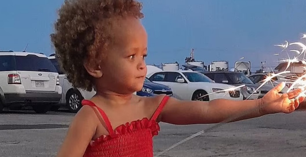 3-Year-Old Tragically Killed By Family Dogs While Visiting Father