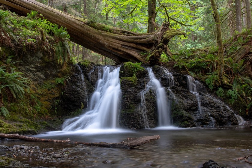 Best states for camping Moran State Park Washington