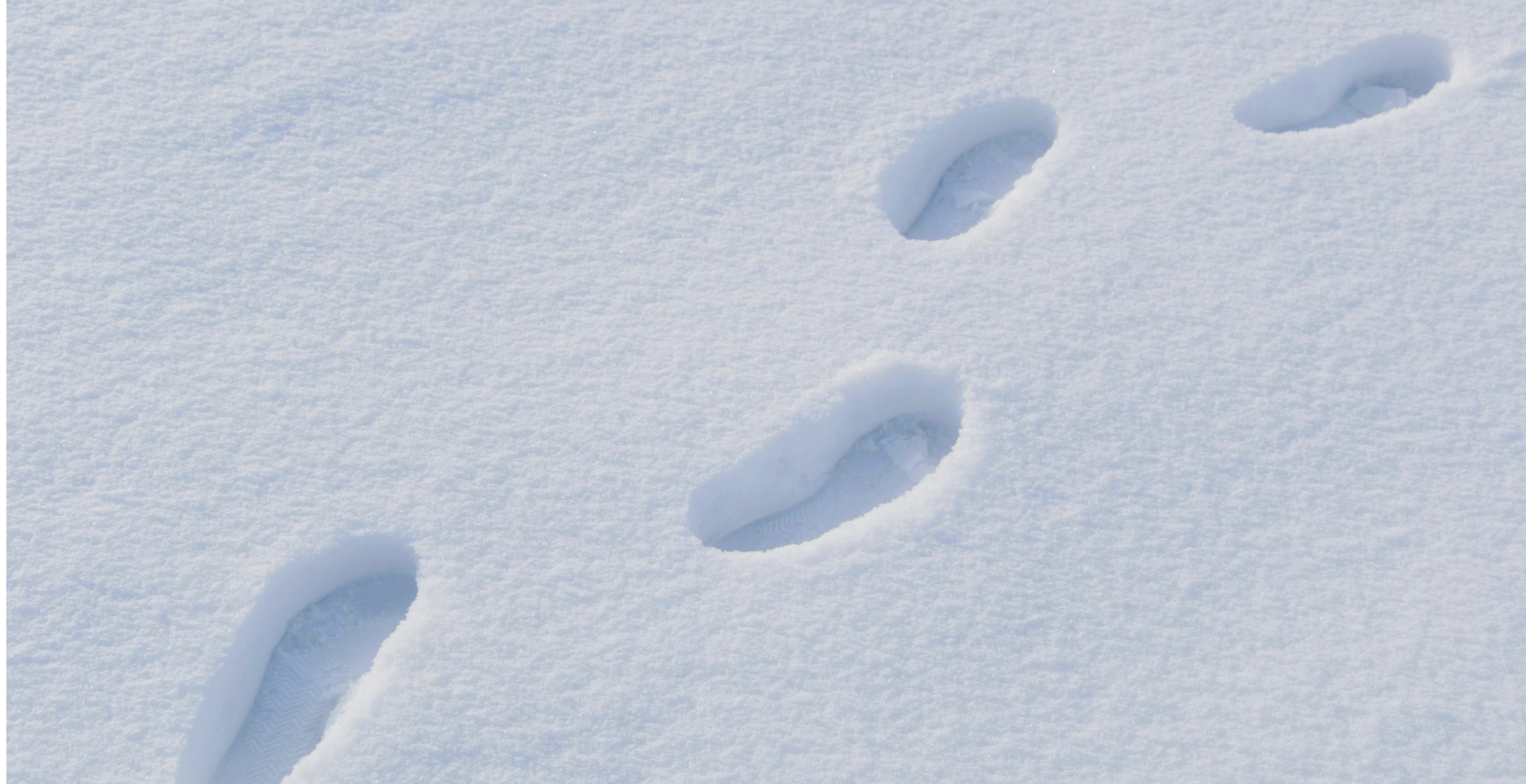 Snowy Footprints Help Authorities Track Down Missing Man