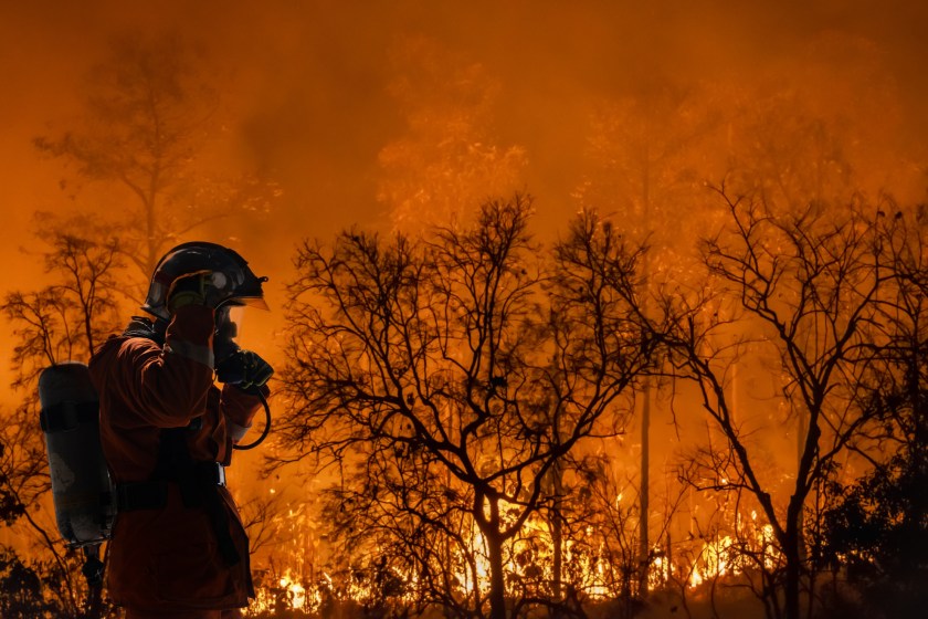 Woman, Who Evacuated California Wildfire, Describes Haunting Sight Of Watching Little Kids With Backpacks Running For Help