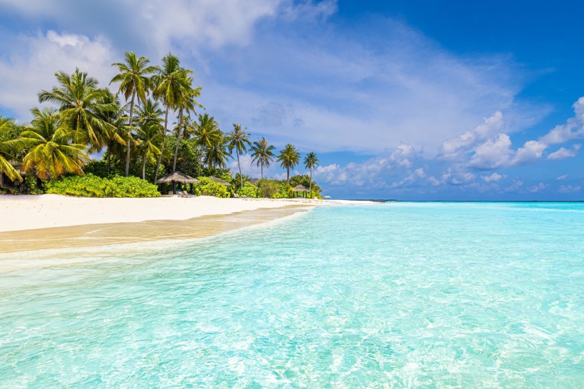 Doctors Are Ringing Alarm Over Rise In Cases Of Rare But Incurable Virus At Popular Vacation Destinations