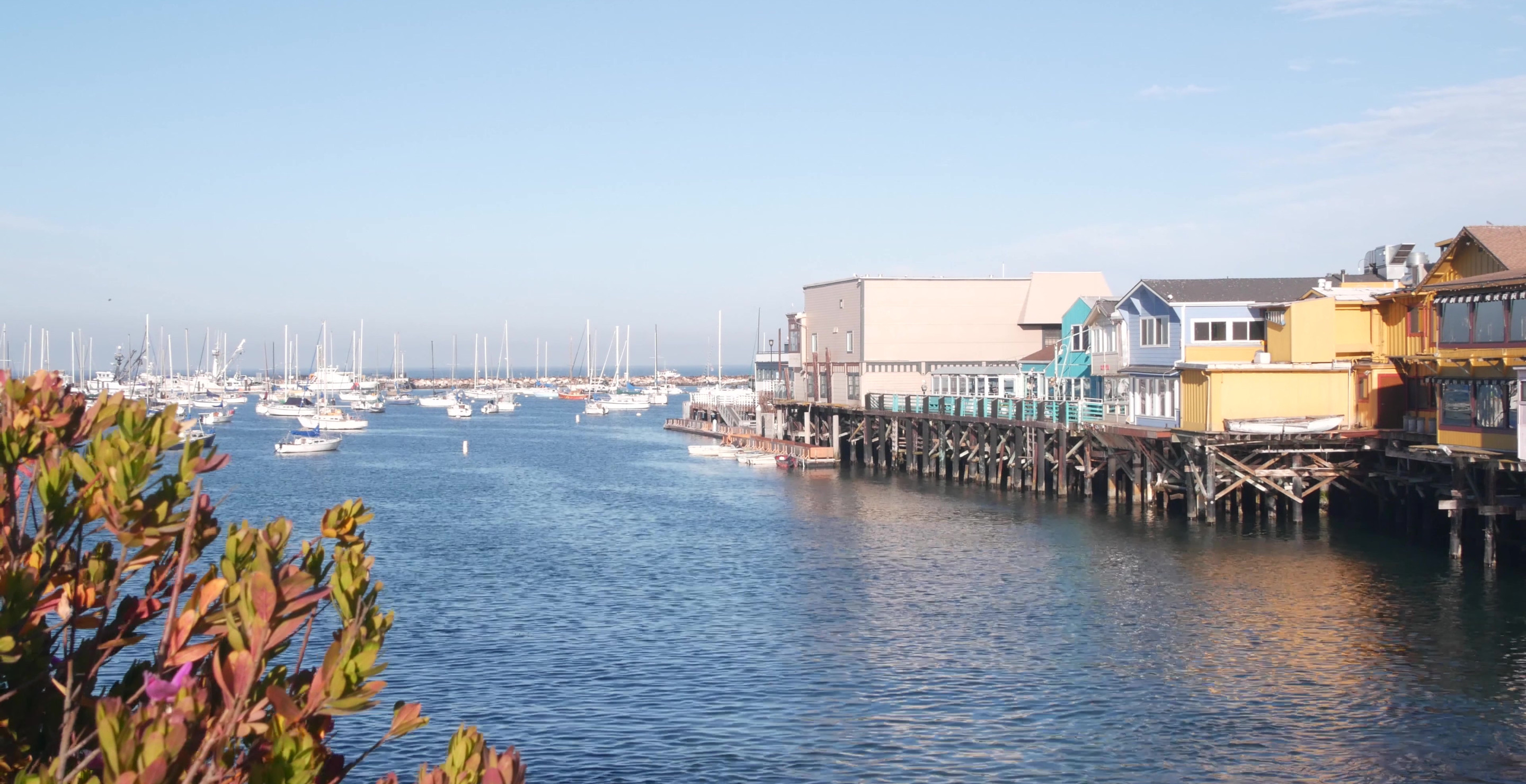 Four California Teens Took On The Cruise Ship Industry And Won — Banning The Ships