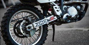 How A Bird Caused Life-Changing Motorcycle Crash For A Neuroscientist