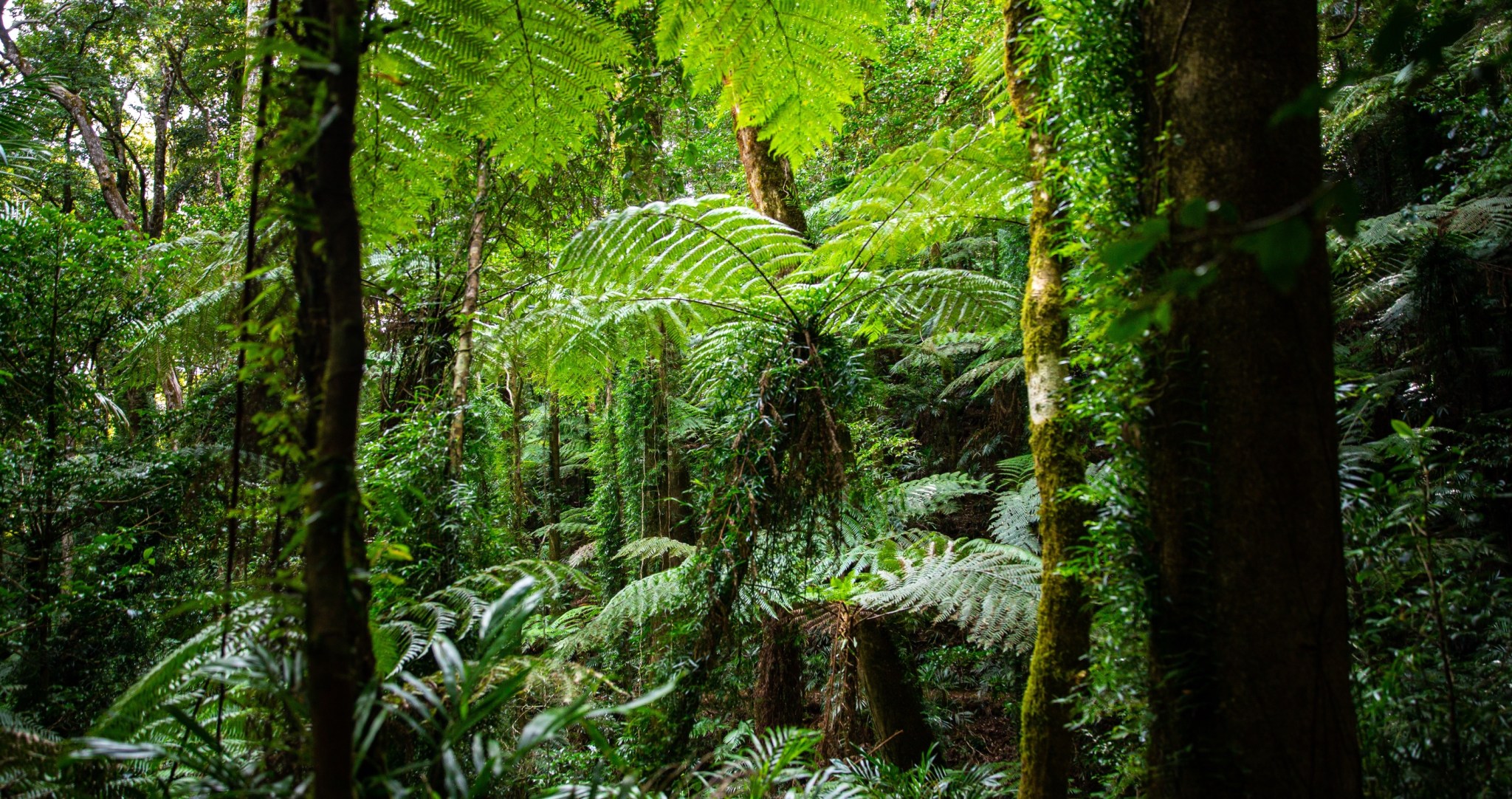 This Woman's Incredible Tale Of Surviving 17 Days Naked And Alone In