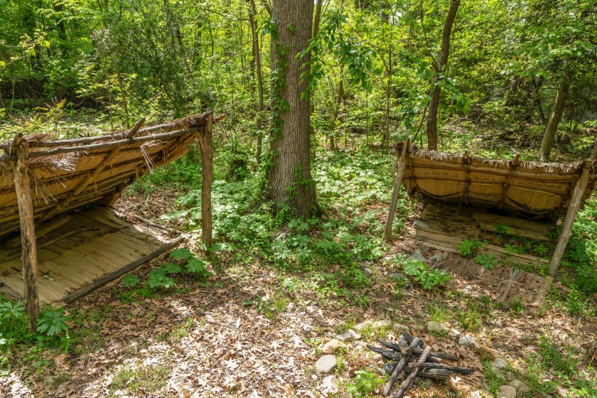 family-friendly outdoor skills build a lean to shelter