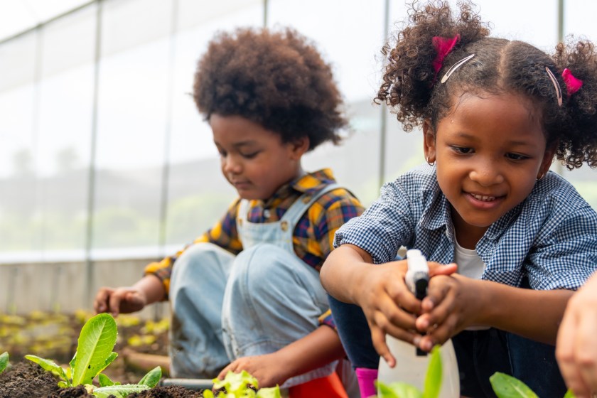 family-friendly outdoor skills gardening