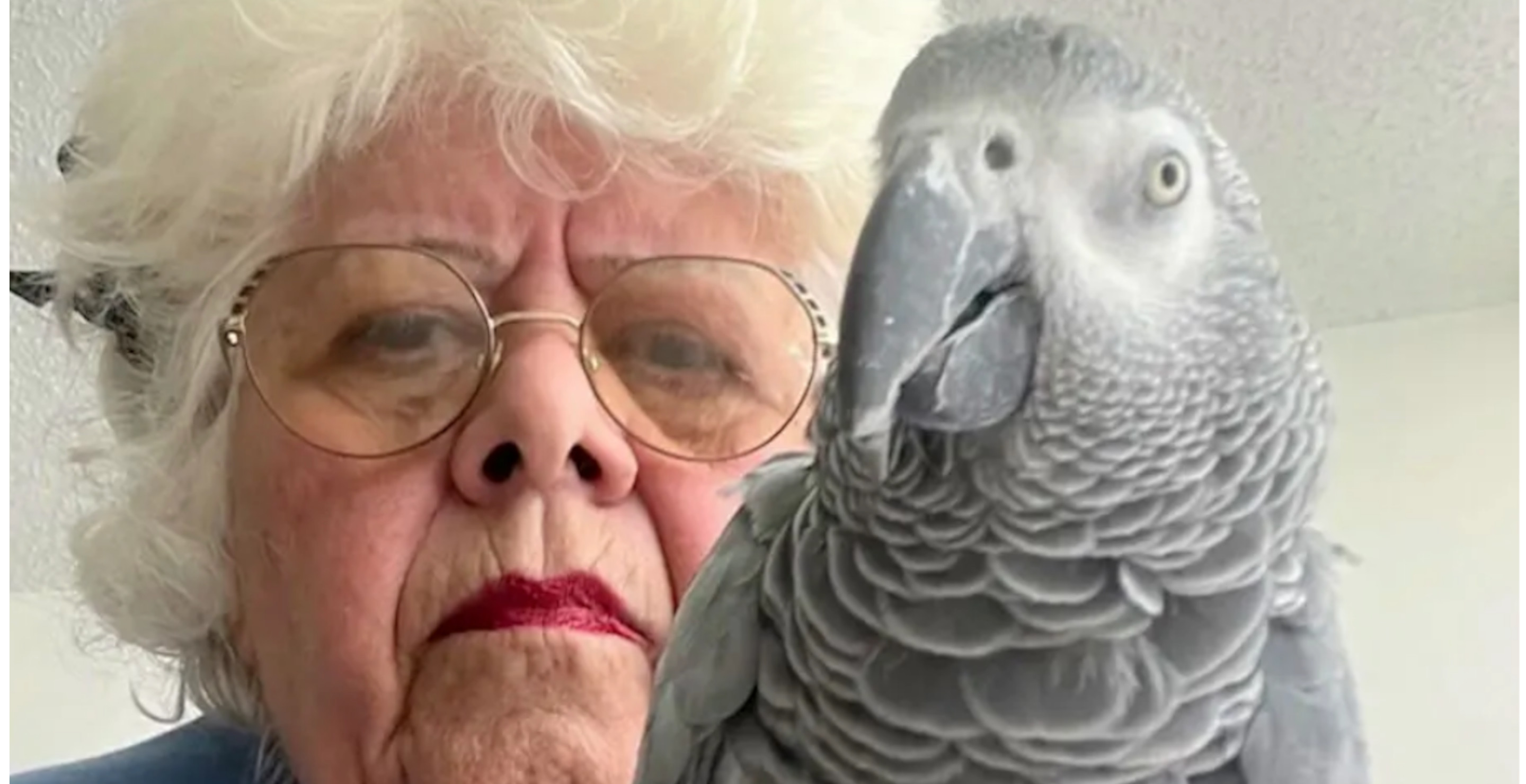 81-Year-Old Woman Stranded In Another Country After Airline Refuses To Let Emotional Support Parrot On Board