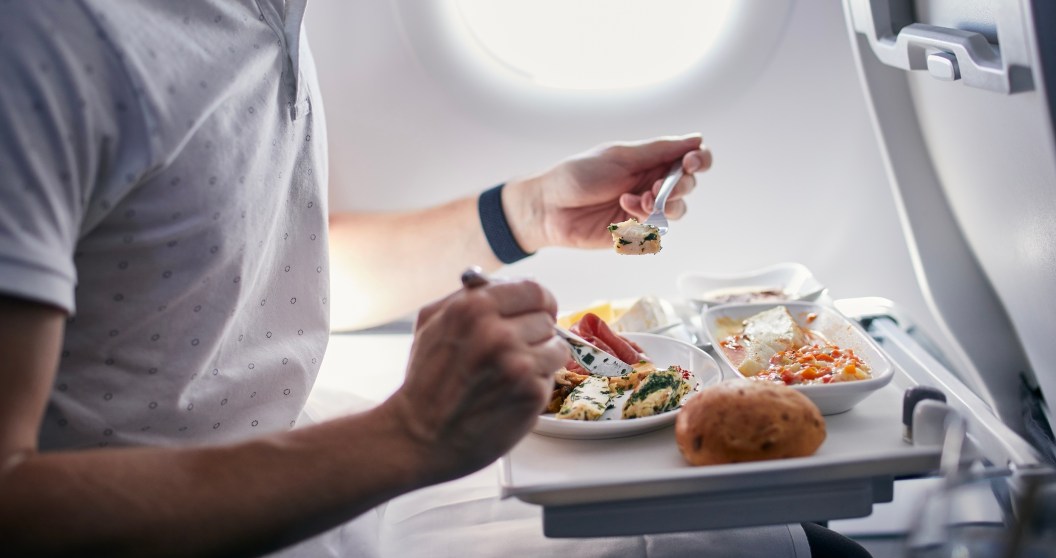 American Airlines Plane Forced To Turn Around After Passenger Throws Fit Over Meal