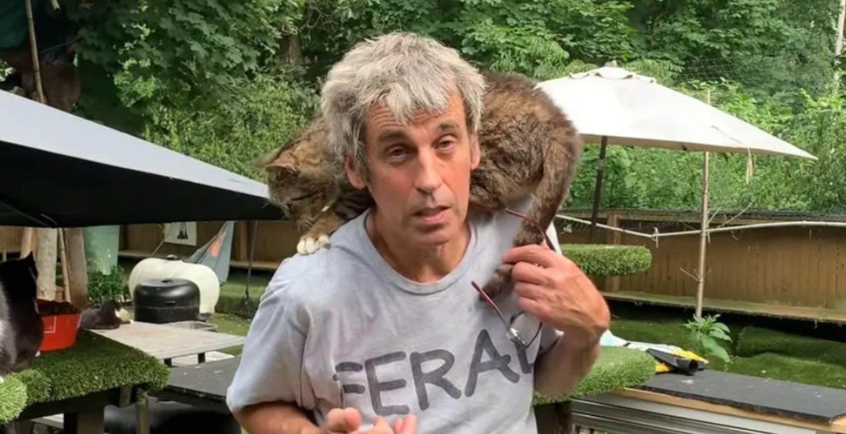 Animal Sanctuary Owner and At Leat 100 Cats Die In Suspicious Fire ...