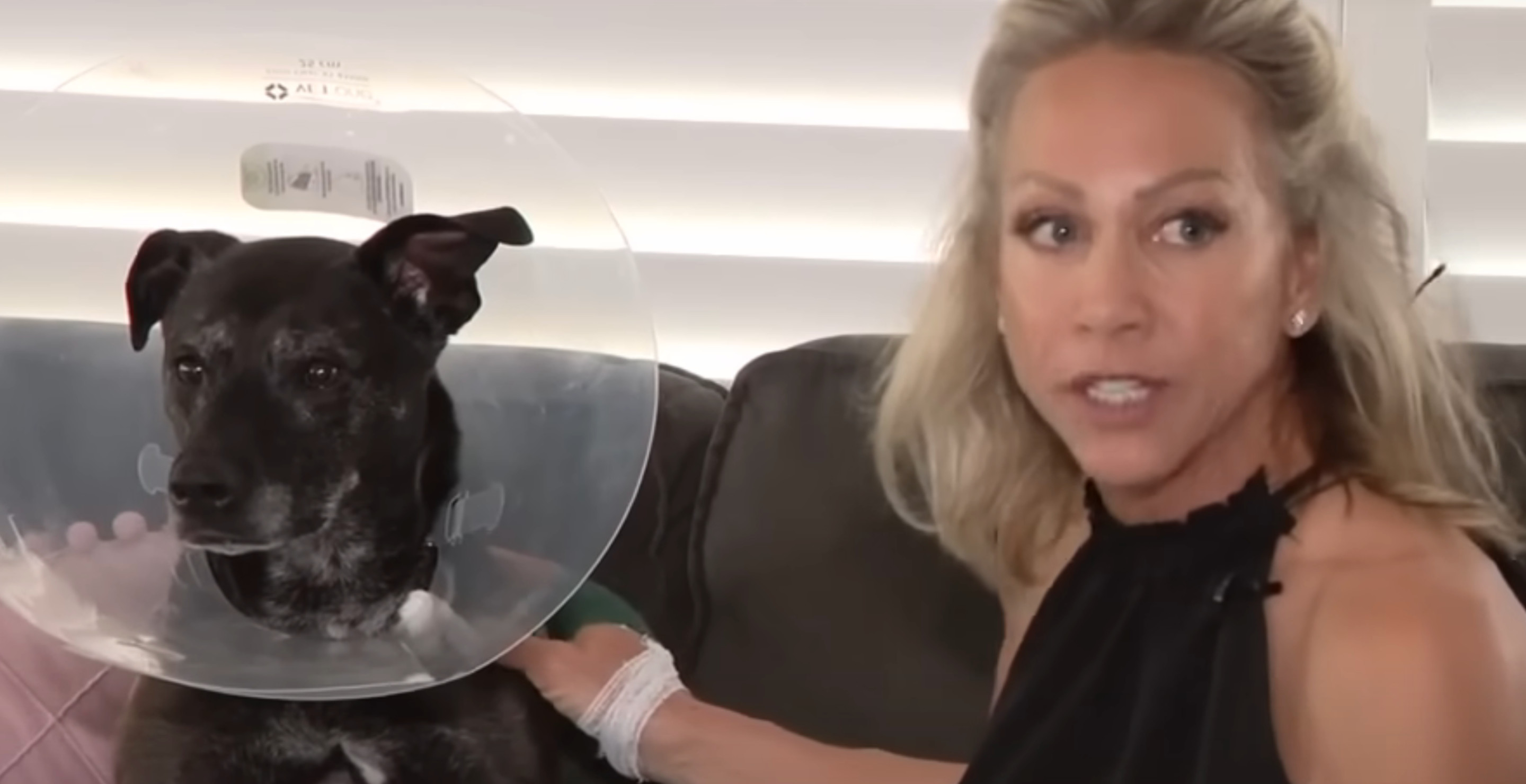 Florida Woman Launches Herself On Top Of Alligator And Pries Beloved Dog Out Of Its Jaws