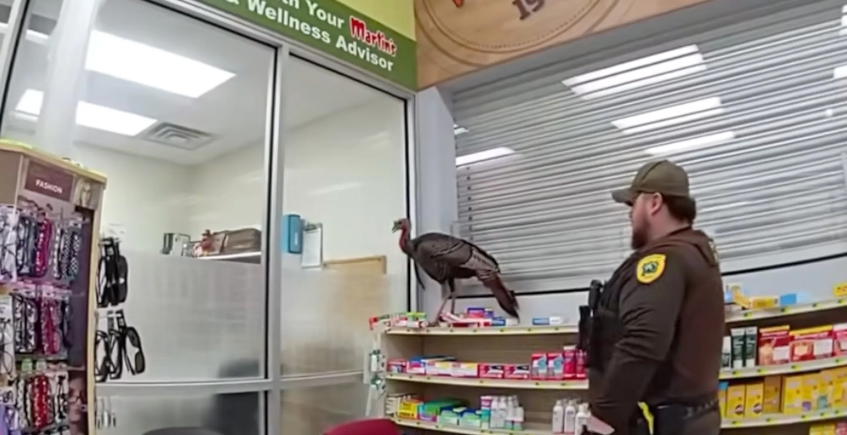 Wild Turkey Goes Amuck In Grocery Store, Gets Police Called On It: "No Harm, No Fowl"