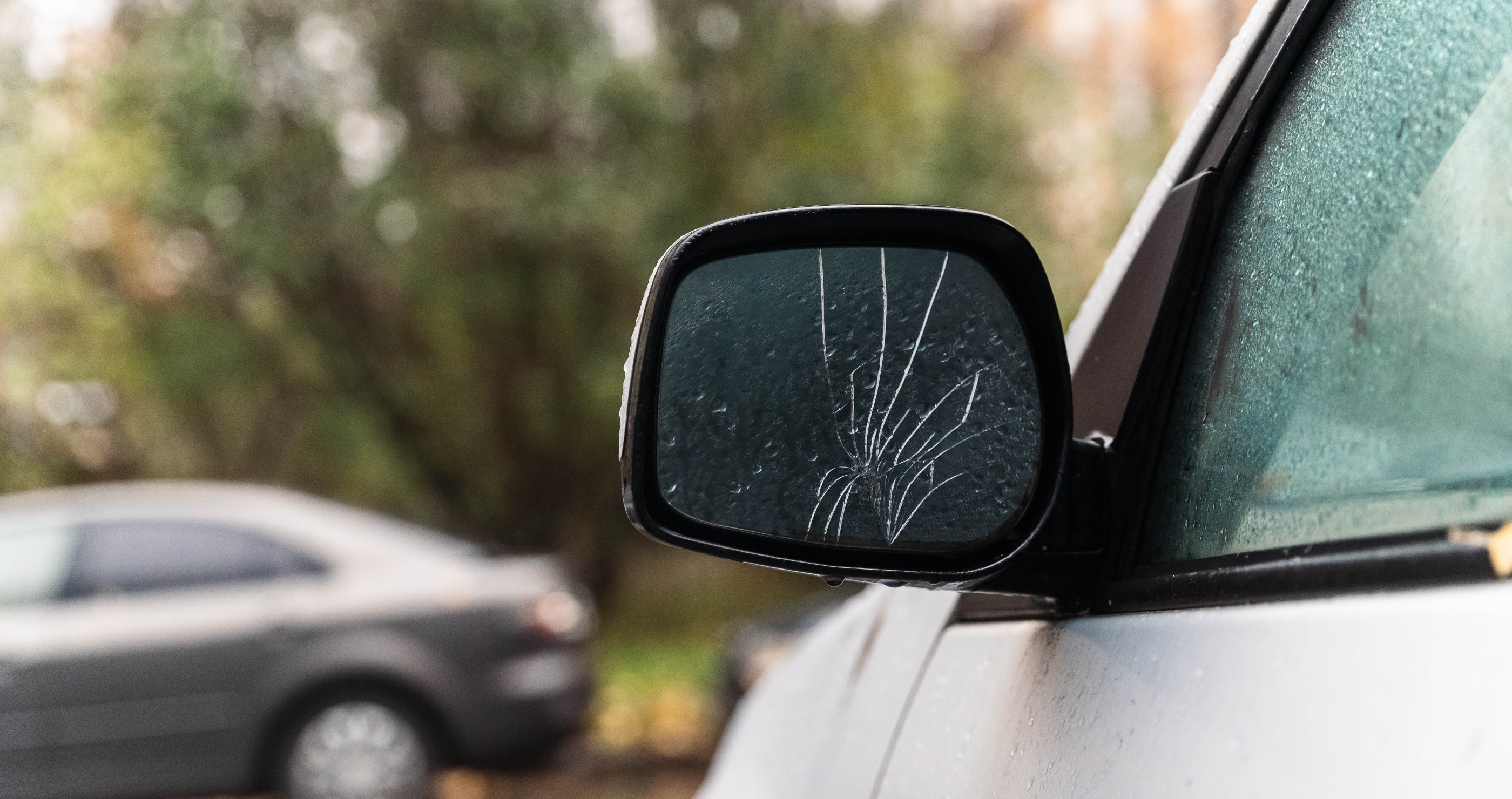 Woodpecker Is The Surprise Culprit Behind Acts Of Car Vandalism 