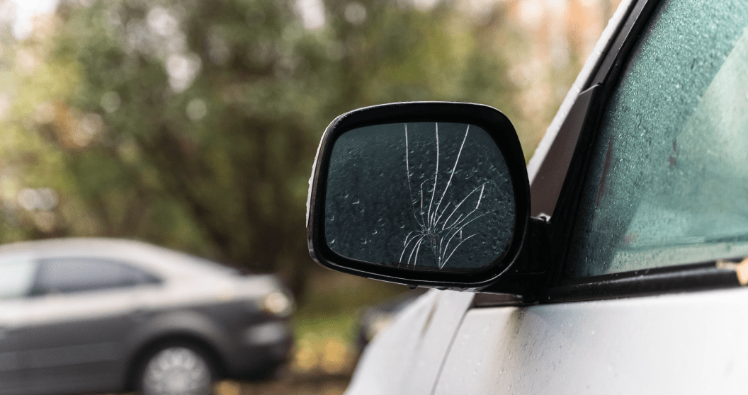Woodpecker Is The Surprise Culprit Behind Acts Of Car Vandalism