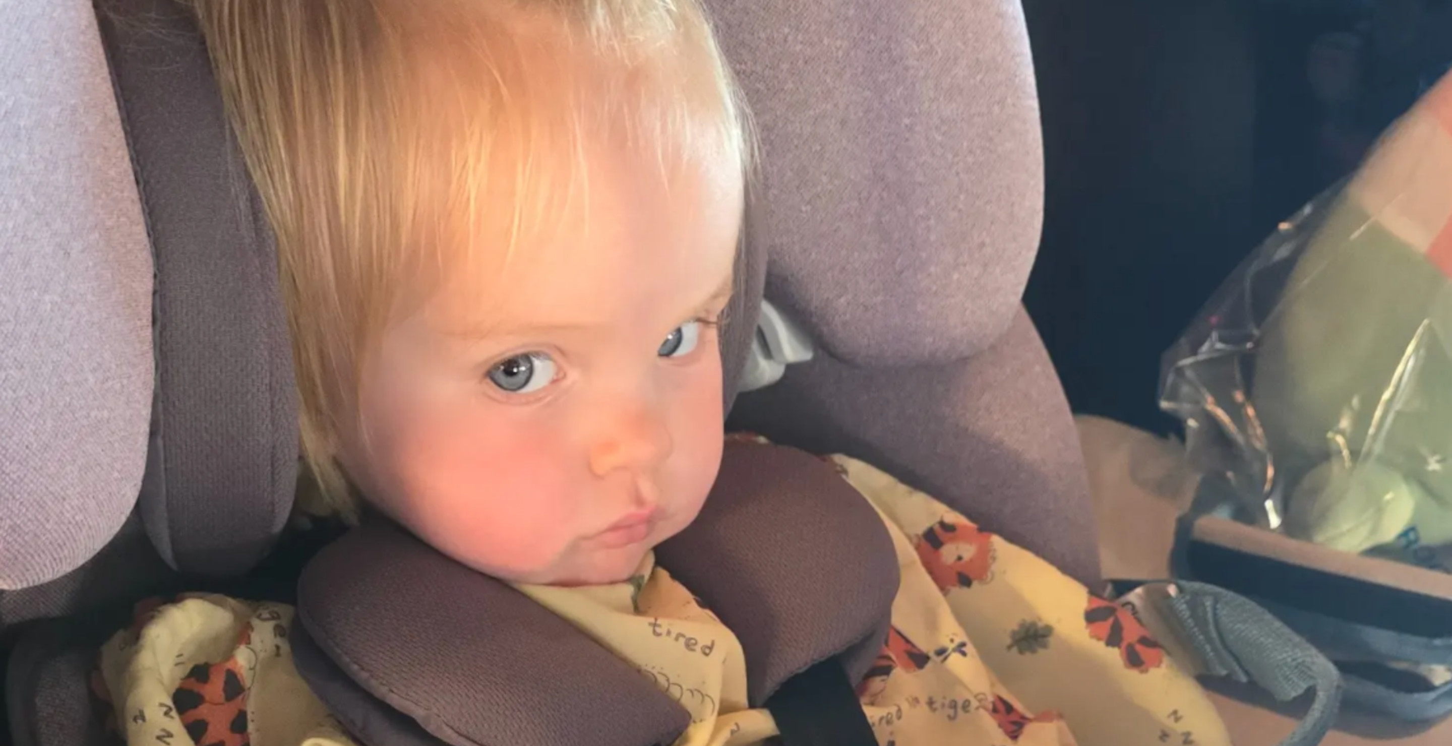 1-Year-Old Bitten By Rattlesnake Needs 30 Vials Of Anti-Venom, Barely Survives