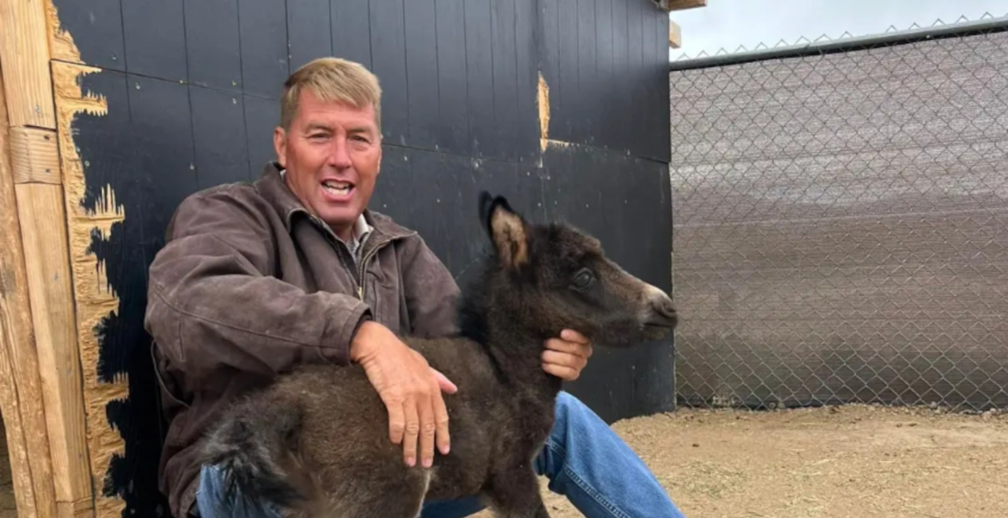 Egmont Veterinarian Case
