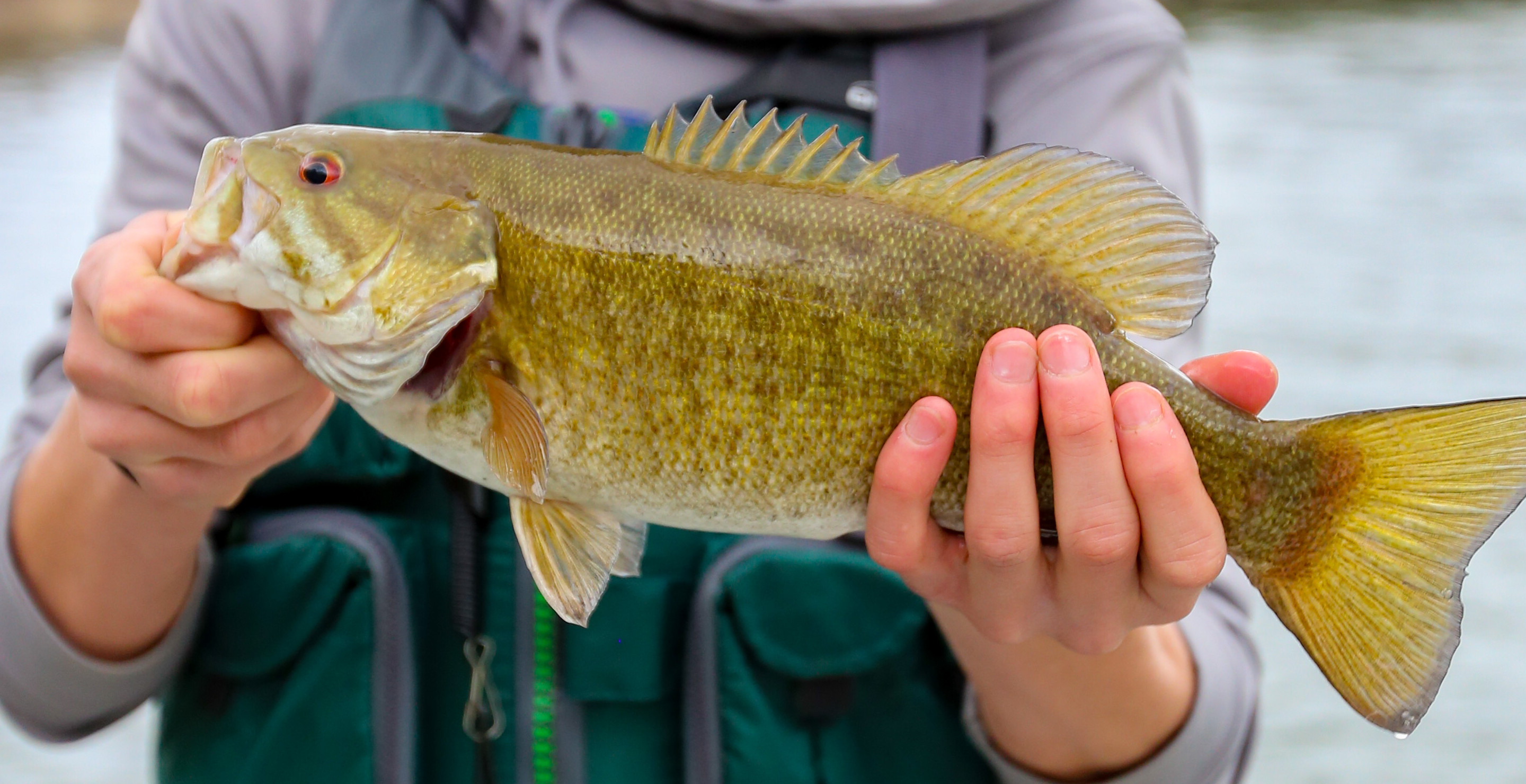 How Texas Fisherman Is Using 3D Printing Hack To Catch Bass