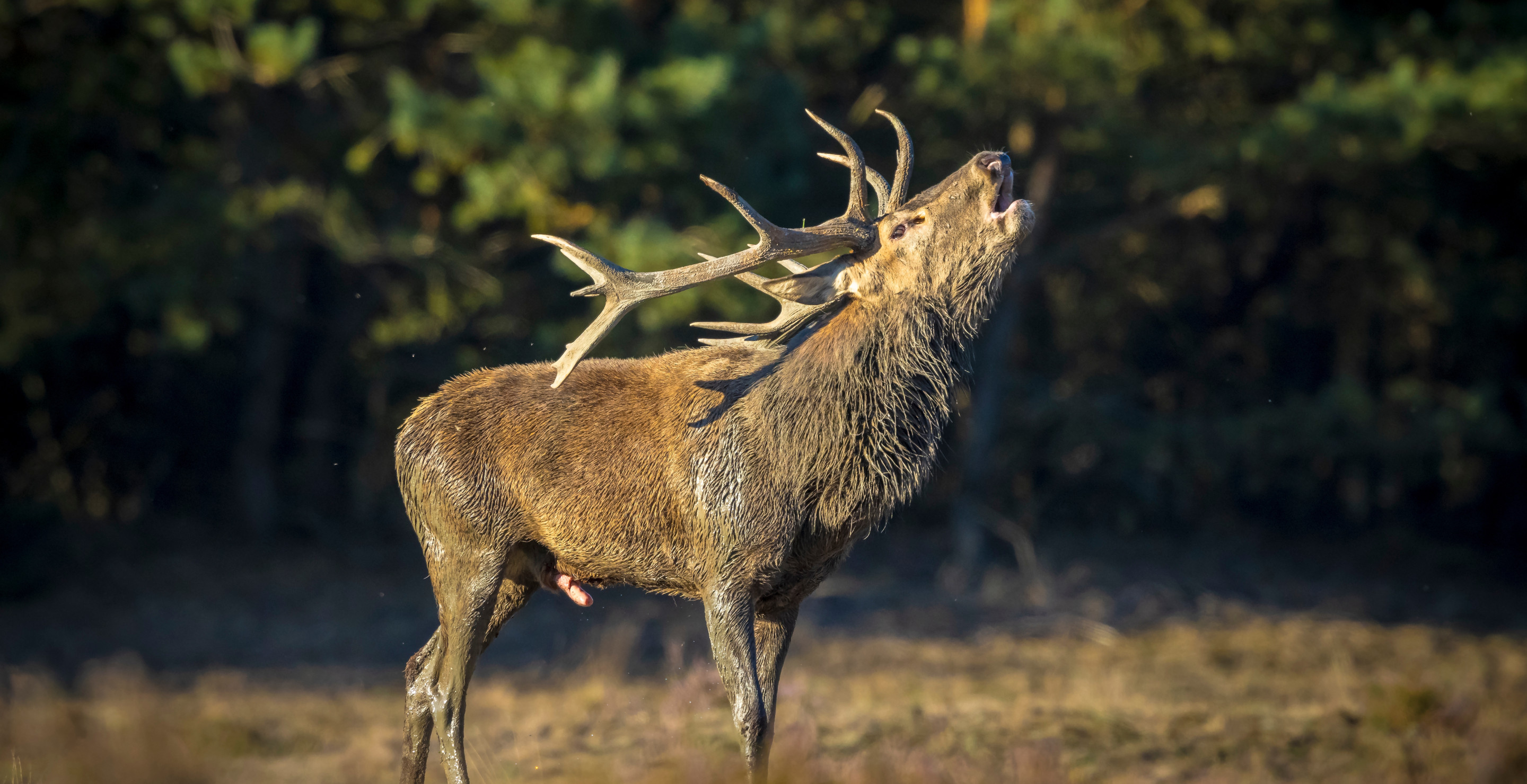 Hunter Sues Game Warden For Allegedly Ruining His Reputation With Bogus Charges